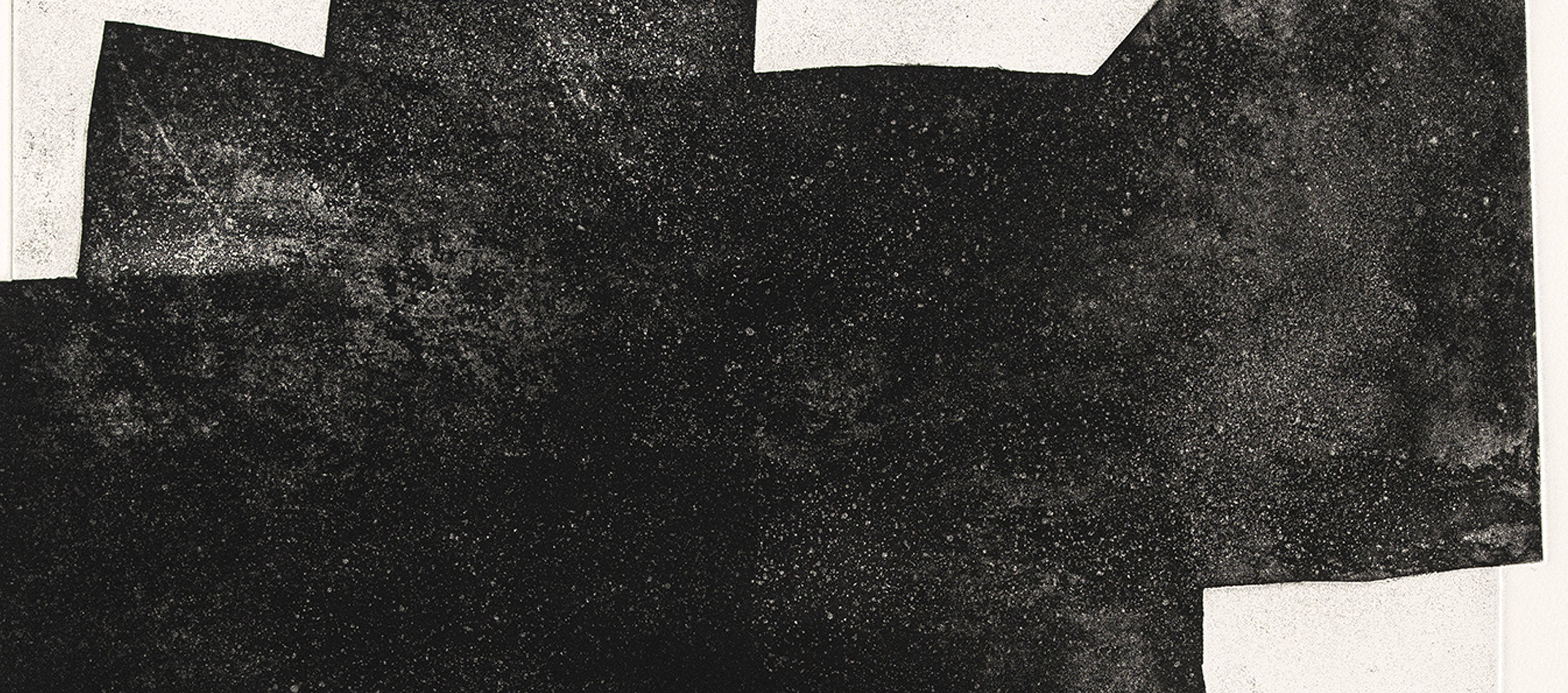 Kiki Smith - Flight