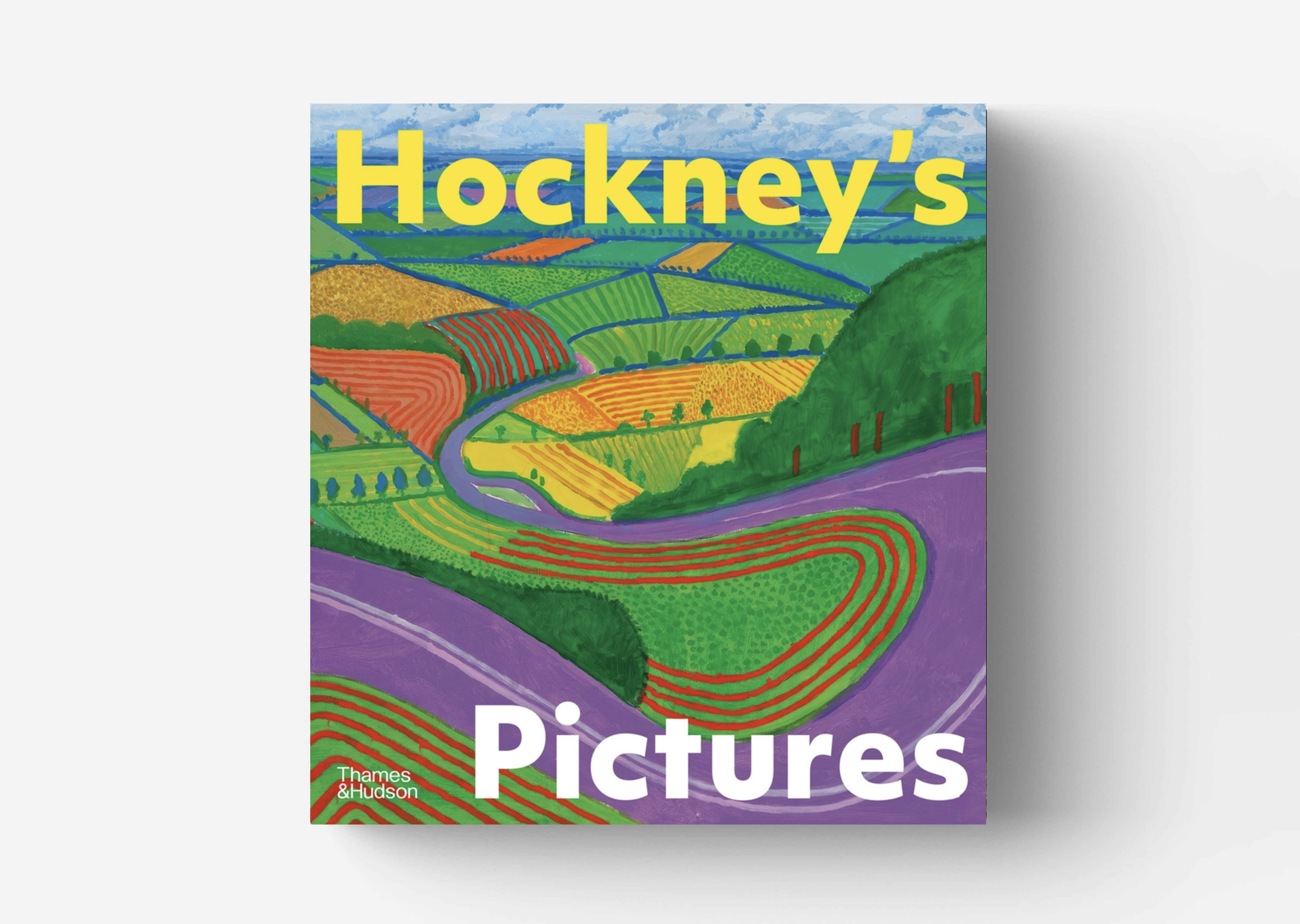 livre Hockney's Pictures David Hockney