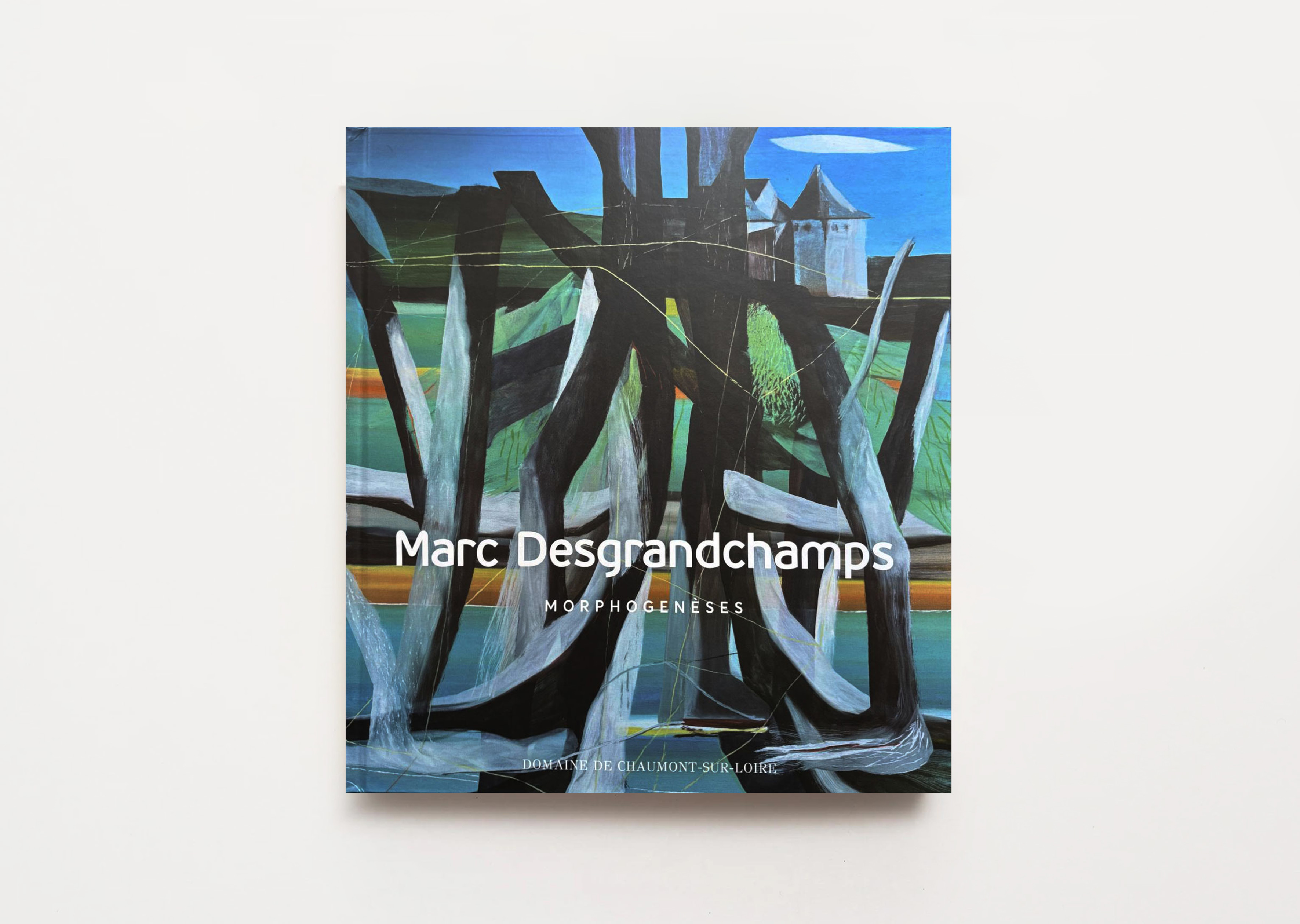 livre Morphogenèses Marc Desgrandchamps