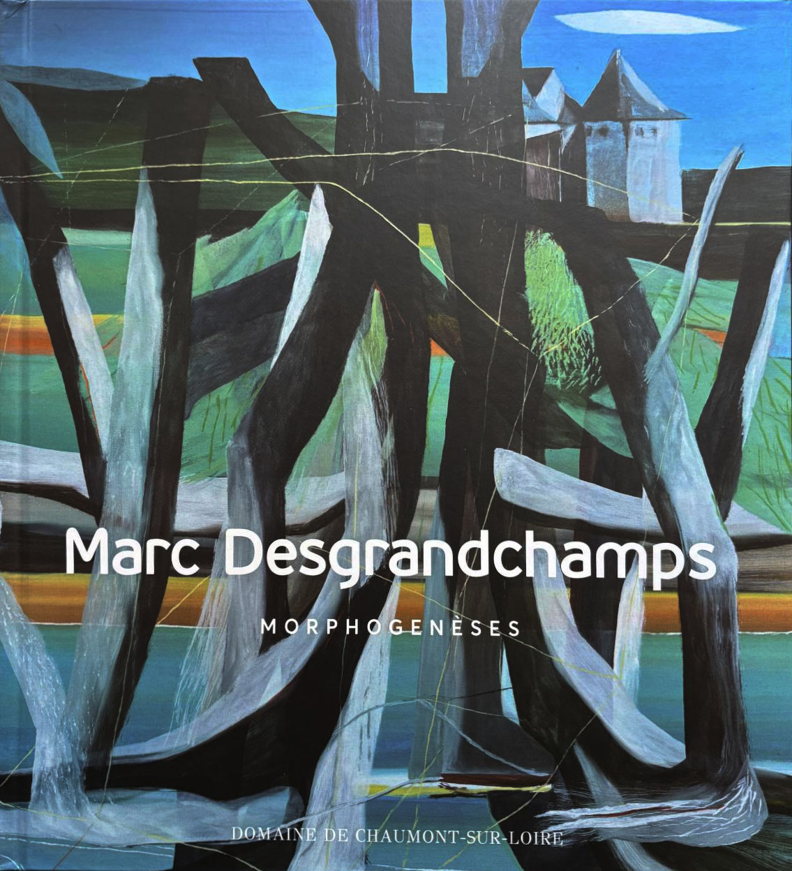 livre Morphogenèses Marc Desgrandchamps