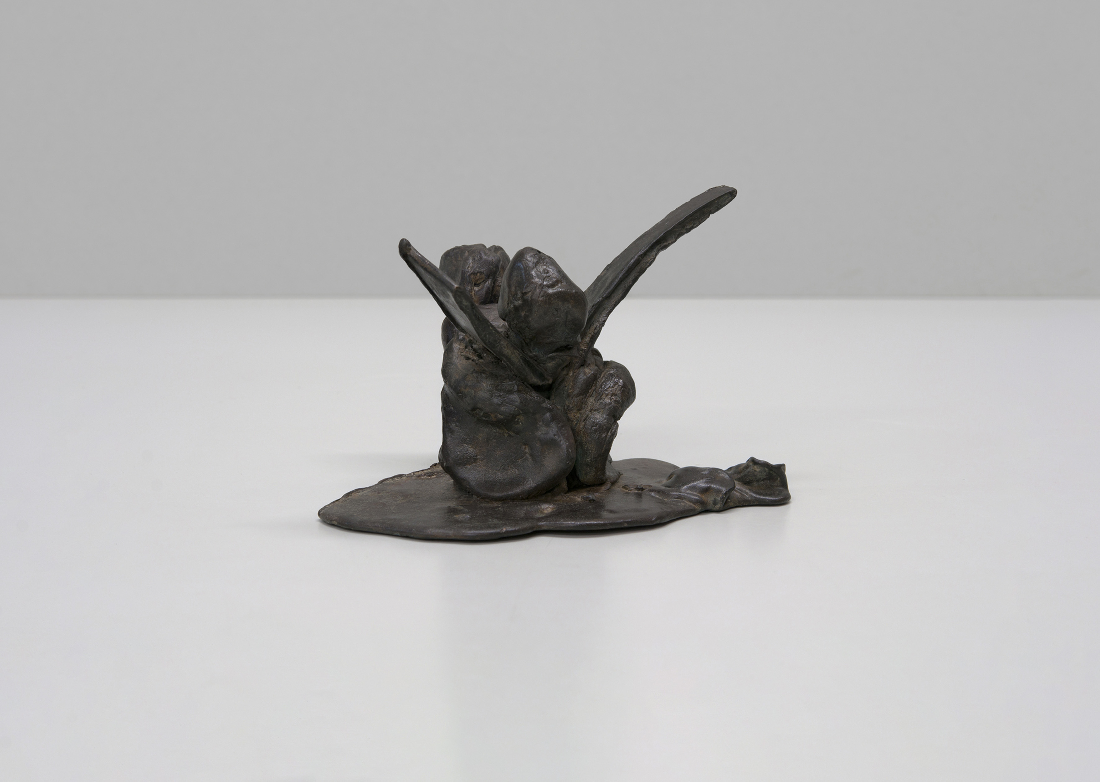 oeuvre Woman, Venus Barry Flanagan