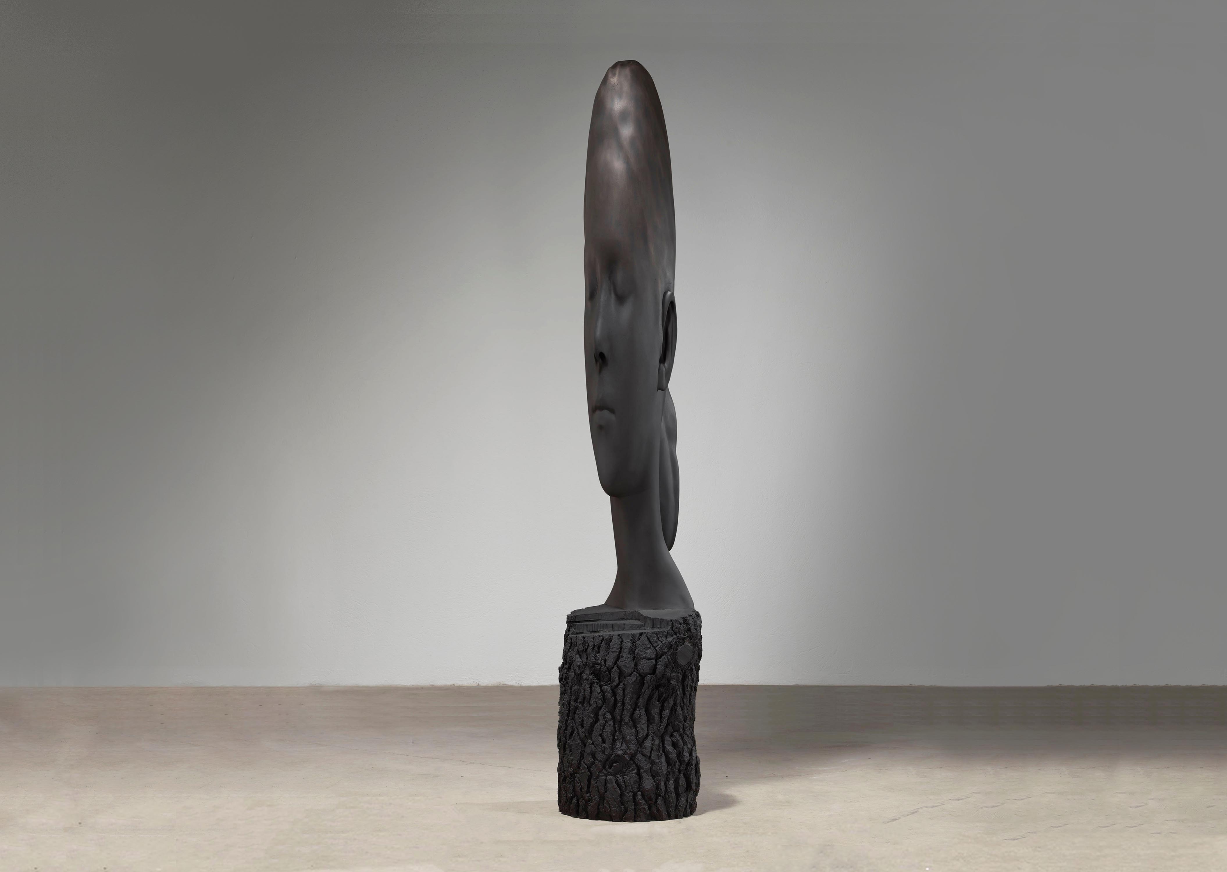 oeuvres Minna Jaume Plensa