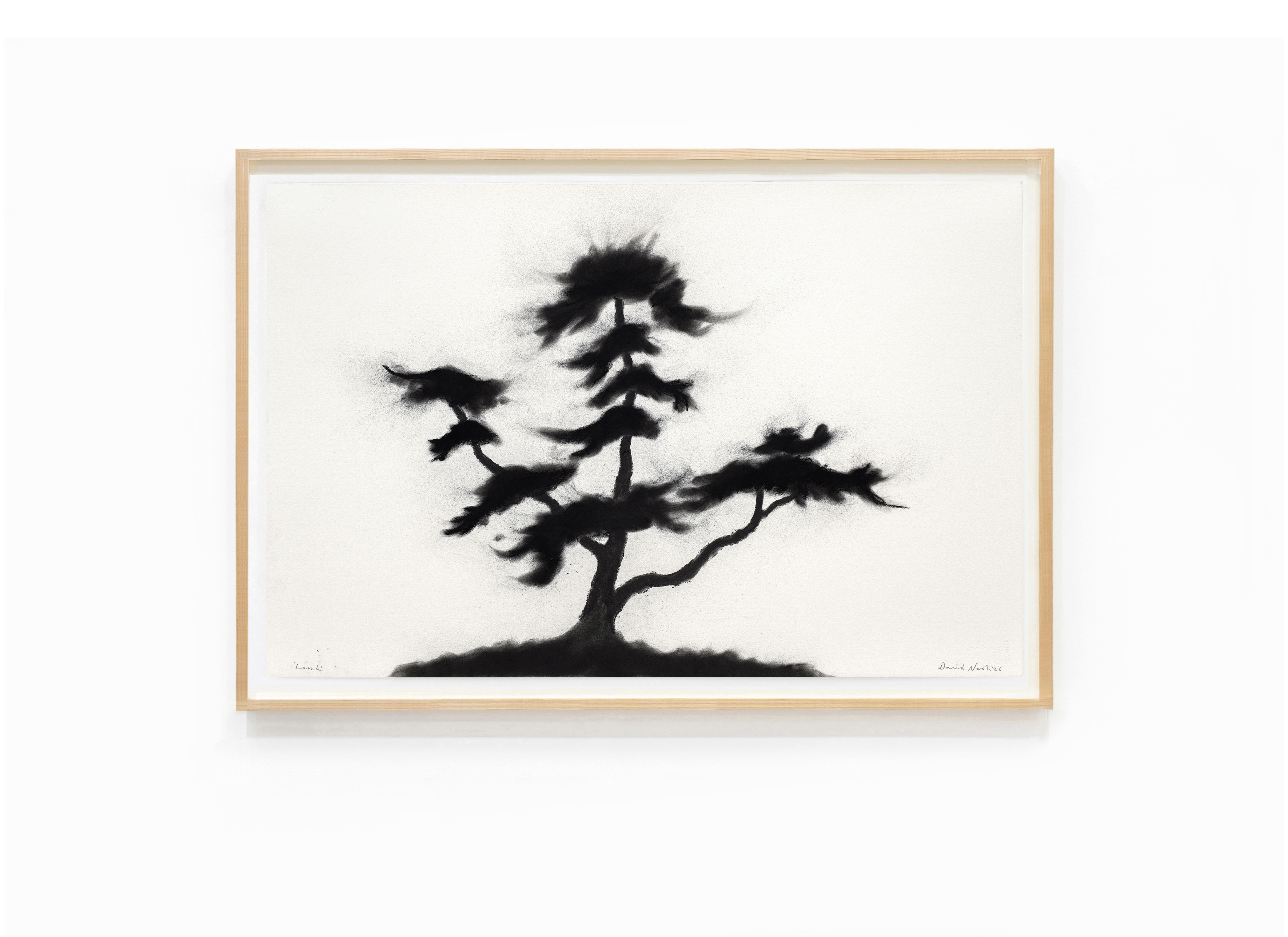 oeuvre Larch David Nash