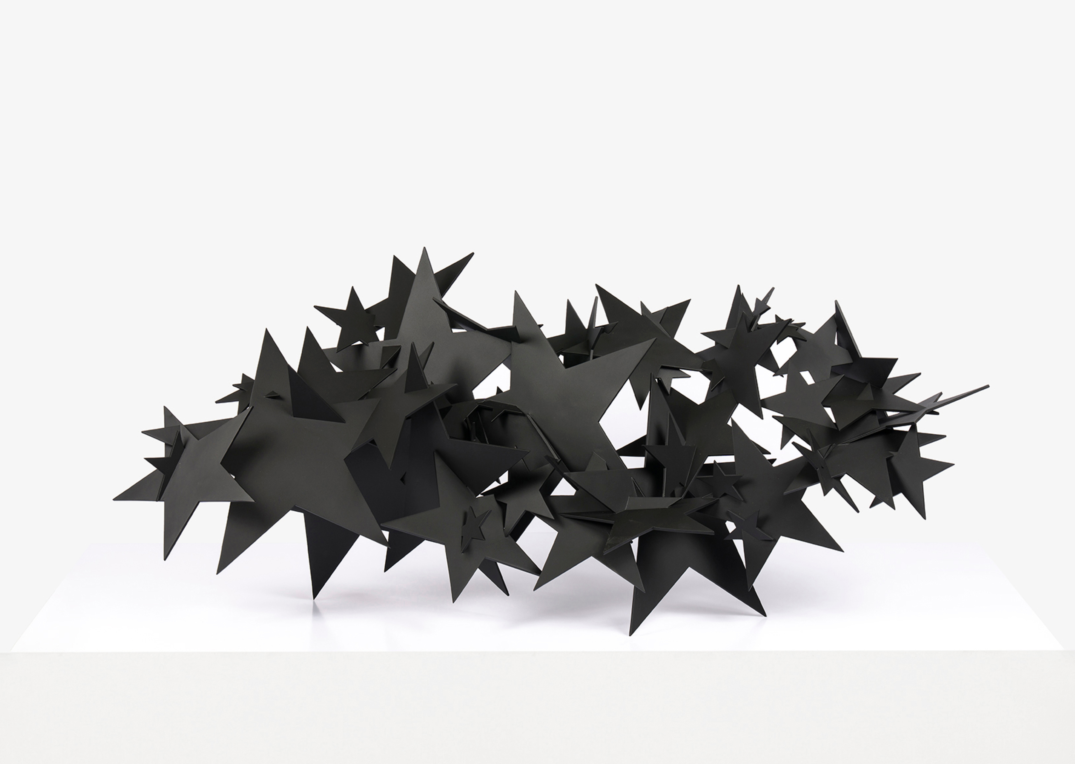 oeuvre Star Light Kiki Smith